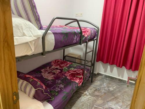 Apartamento -apartamentos Laguna-