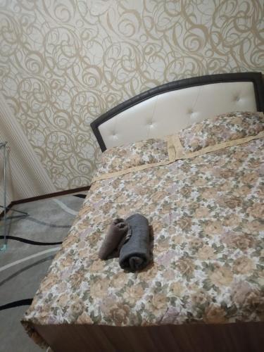 Apartamento ???????????