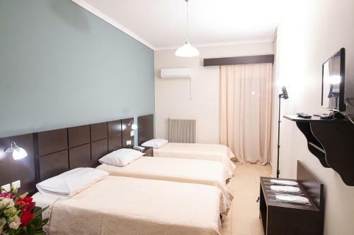 Hotel Dimokritos