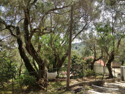 Apartamento Joanna's Cottage