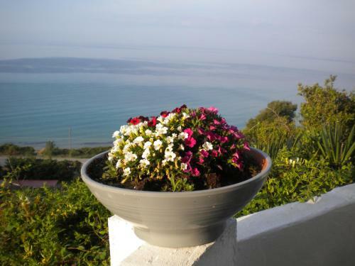 Apartamento Villa Olga