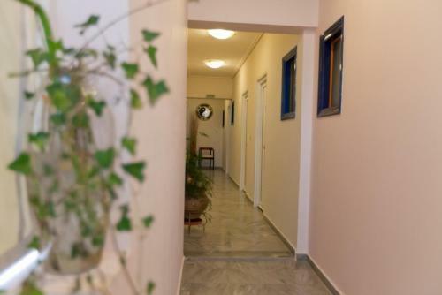 Hostal Star Hotel