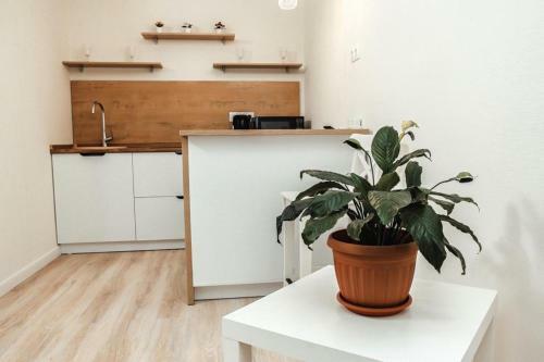 Rg Apartments