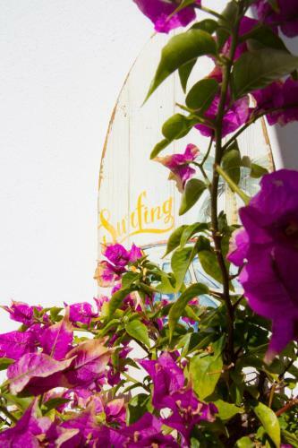 Apartamento Beach-loft-nataliia - By Medano4you