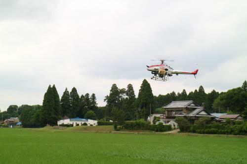 Hotel Otani