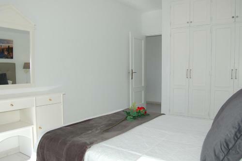 Apartamentos Los Laureles