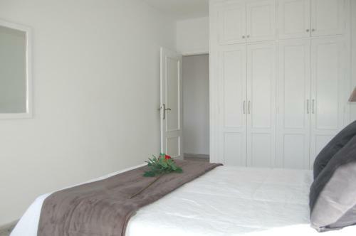 Apartamentos Los Laureles