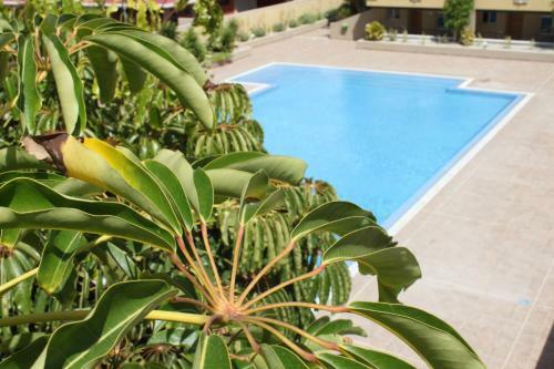 Apartamento Tenerife La Perla Complex