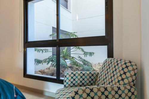 Apartamento The Strelitzia Terrace - By Medano4you