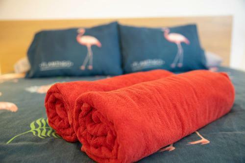 Apartamento The Strelitzia Terrace - By Medano4you
