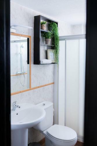 Apartamento Hotel Ventus