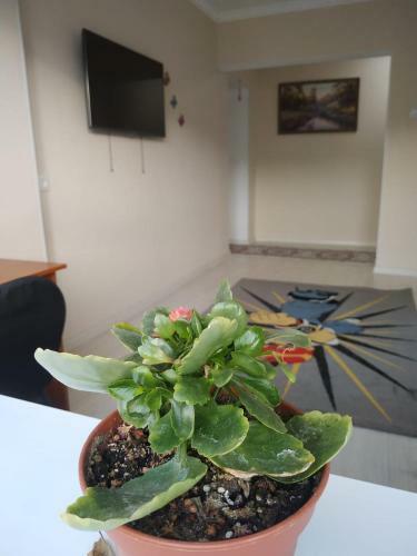 Apartamento Samal Kzo