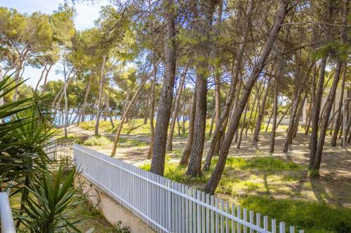 Apartamento Pinos Playa