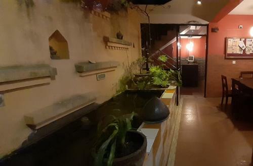 Hostal Ambience House