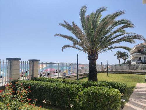 Apartamento Mar Blau