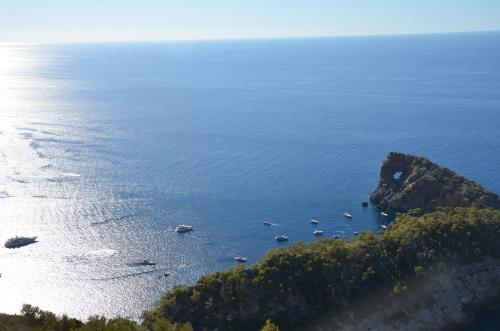 Carrasqueta