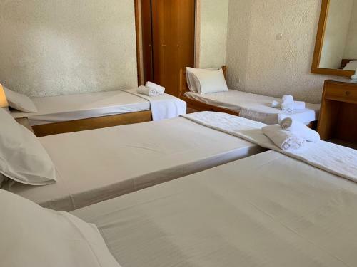 Sariza Spring Hotel