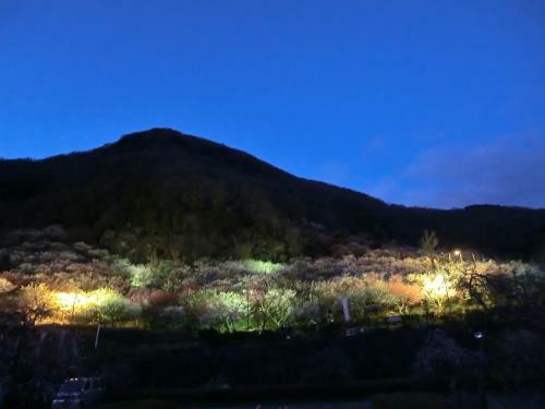Isuzu Hotel