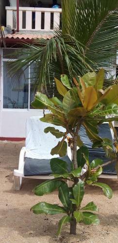 Apartamento Sea Breeze