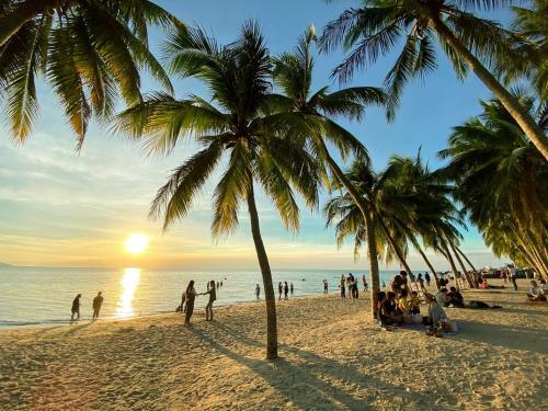 Hostal Sea Sand Trees