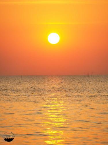 Hostal Sea Sand Trees