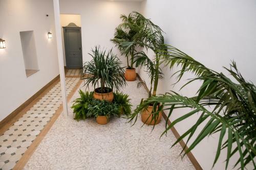 Apartamentos Nueva Ribera