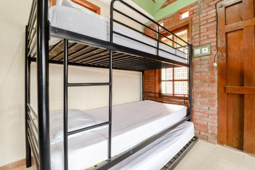 Hostal Omah Kemiri 4 Yogyakarta