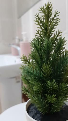 Apartamento ??????? ??????????? ? ??????