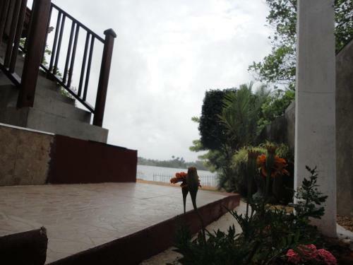 Bed & Breakfast Sapara River Guest