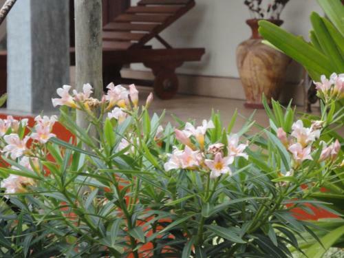 Bed & Breakfast Sapara River Guest