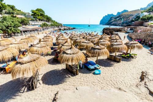 Apartment Cala In Puerto Pollensa