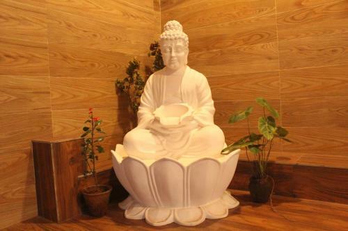 Hostal Hotel Galaxy Arambol