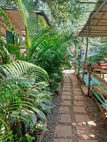 Lodge Casa Courtyard