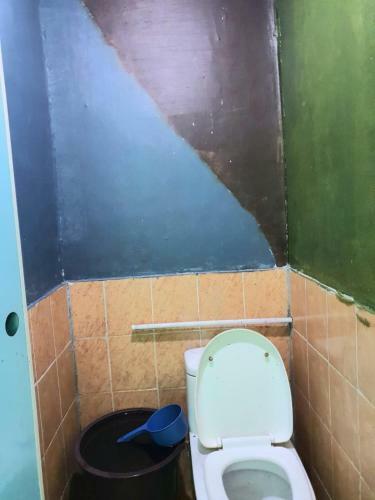 Hostal Pemandian Air Panas Dan Penginapan Mitra Sibayak