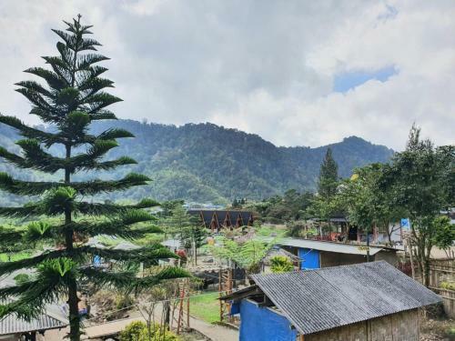 Hostal Pemandian Air Panas Dan Penginapan Mitra Sibayak