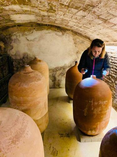 El Refugi Del Celler