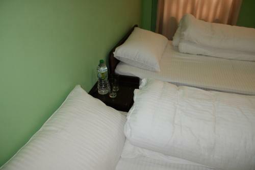 Hostal The Nest