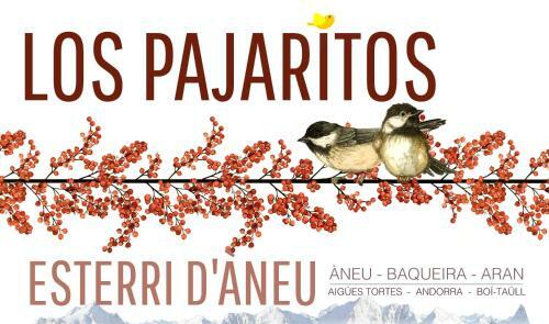 Apartamento Los Pajaritos