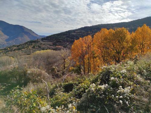 Bassiero Apartament