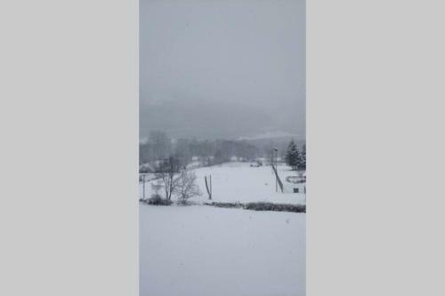 Bassiero Apartament