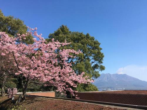 Hotel Shiroyama Kagoshima