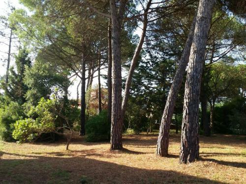 Villa Fabiola