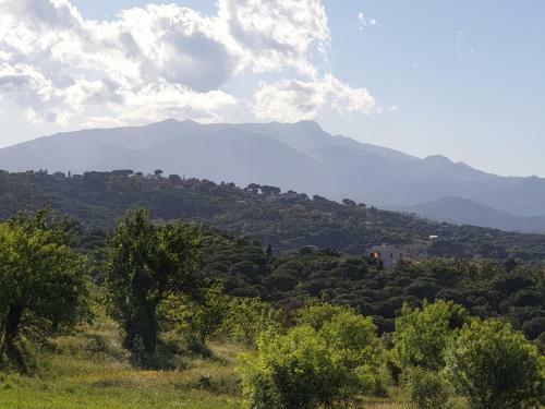 Villa Fabiola