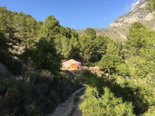 Yurta Naranja