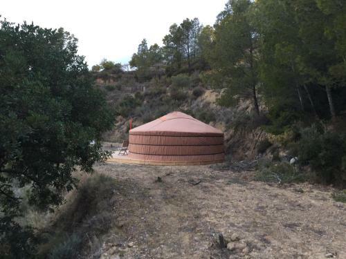 Yurta Naranja