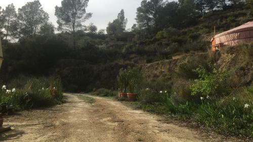 Yurta Naranja