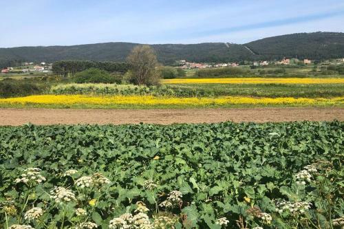 Apartamento Junto Camino de Santiago,1� L�nea de Playa