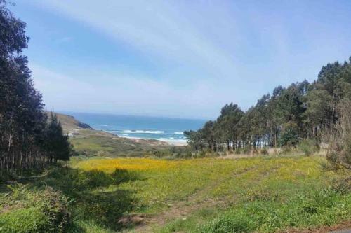 Apartamento Junto Camino de Santiago,1� L�nea de Playa