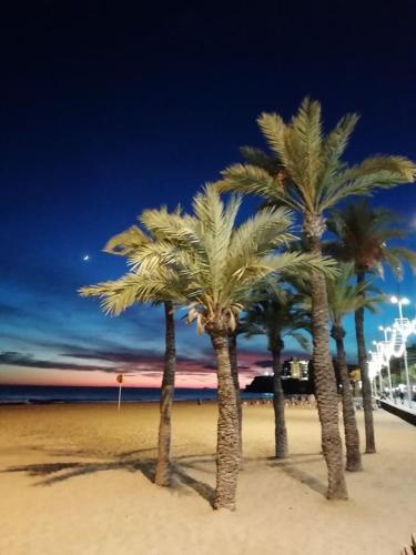 Apartamento Balcon de Sierra Cortina! Panoramic Sea View !