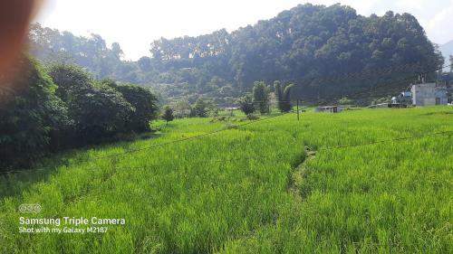 Sam Maya Homestay